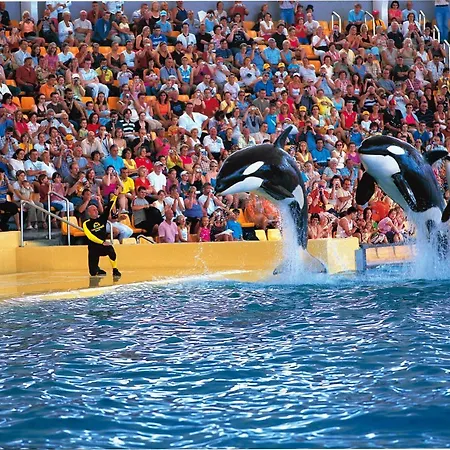 Apartment Homeforguest Design Attic Free Parking Santa Cruz de Tenerife