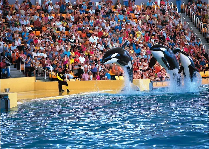 아파트 Homeforguest Design Attic Free Parking 산타크루스데 테네리페