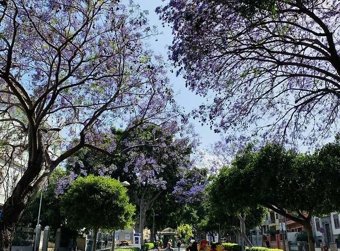 아파트 Homeforguest Design Attic Free Parking 산타크루스데 테네리페